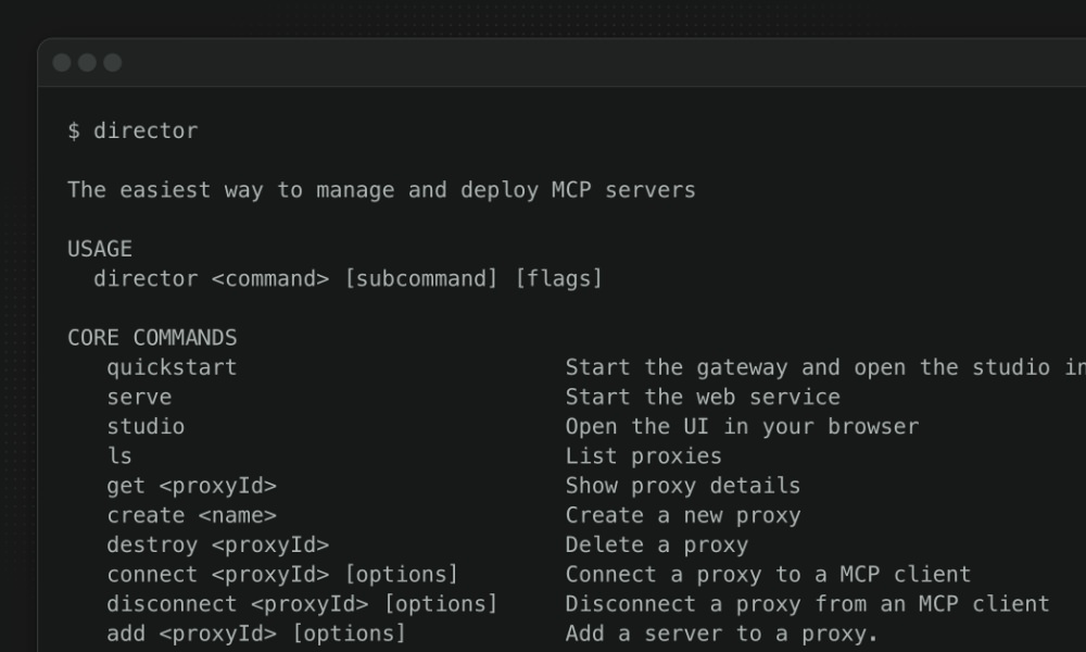 Director MCP server management interface